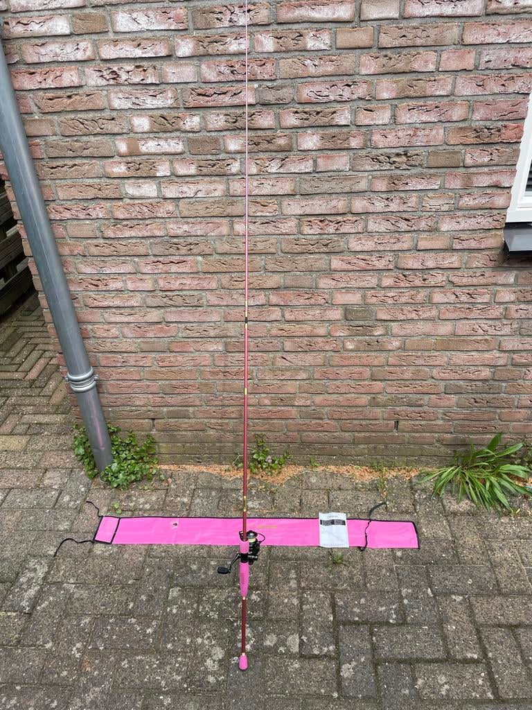 Delphin Queen hengel met DAM Quick 2 1000 FD molen, Ophalen of Verzenden, Gebruikt, Complete hengel