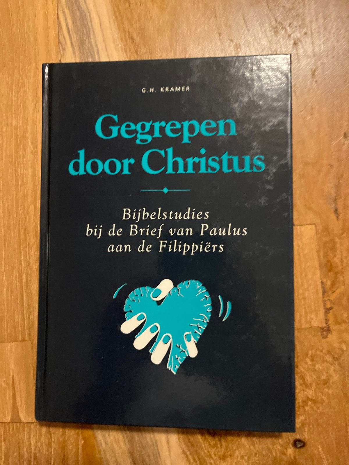 Gegrepen door Christus - Bijbelstudies Filippiërs, Ophalen of Verzenden, Gelezen, Christendom | Protestants