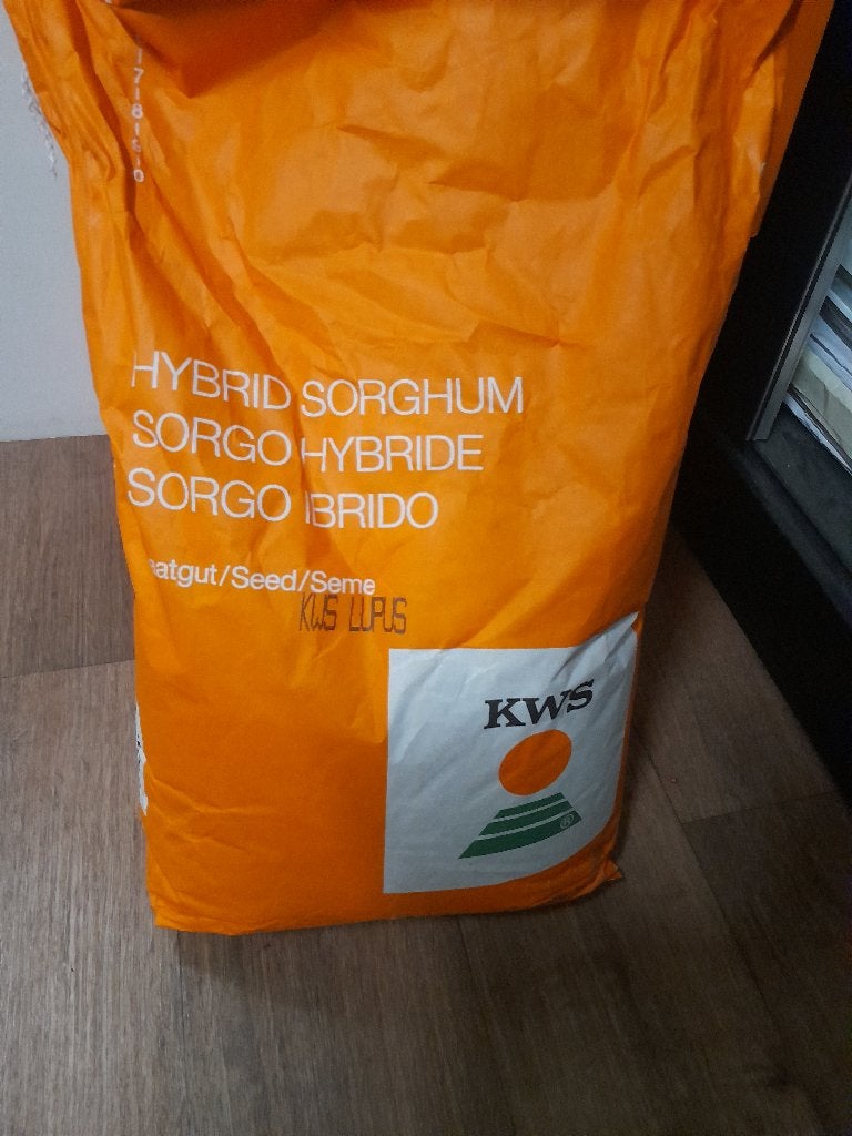 sorgum zaad, Hobby en Vrije tijd, Ophalen, Nieuw
