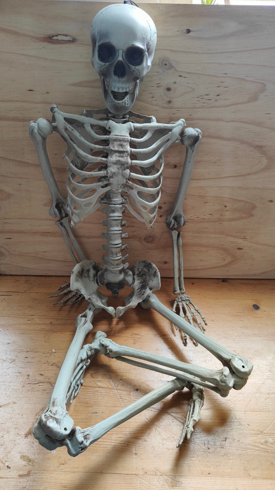Twee grote dozen Halloween decoraties, Ophalen, Gebruikt, Halloween of Griezel