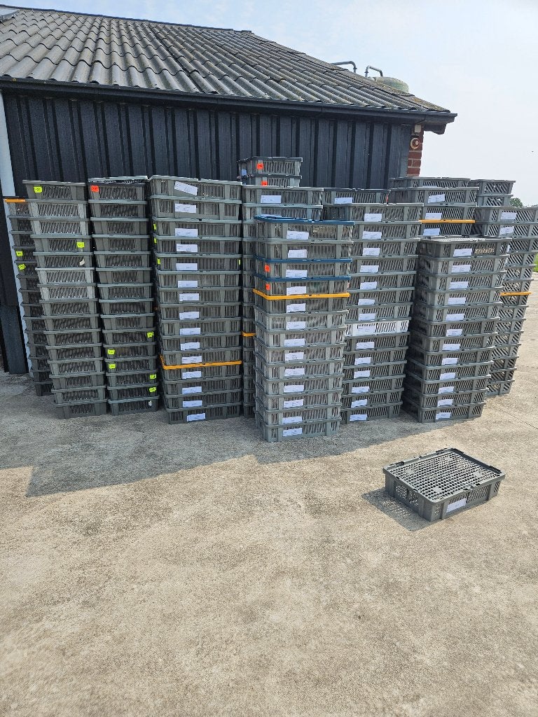 kratjes, Ophalen, 50 tot 75 cm, Minder dan 35 cm, Zo goed als nieuw
