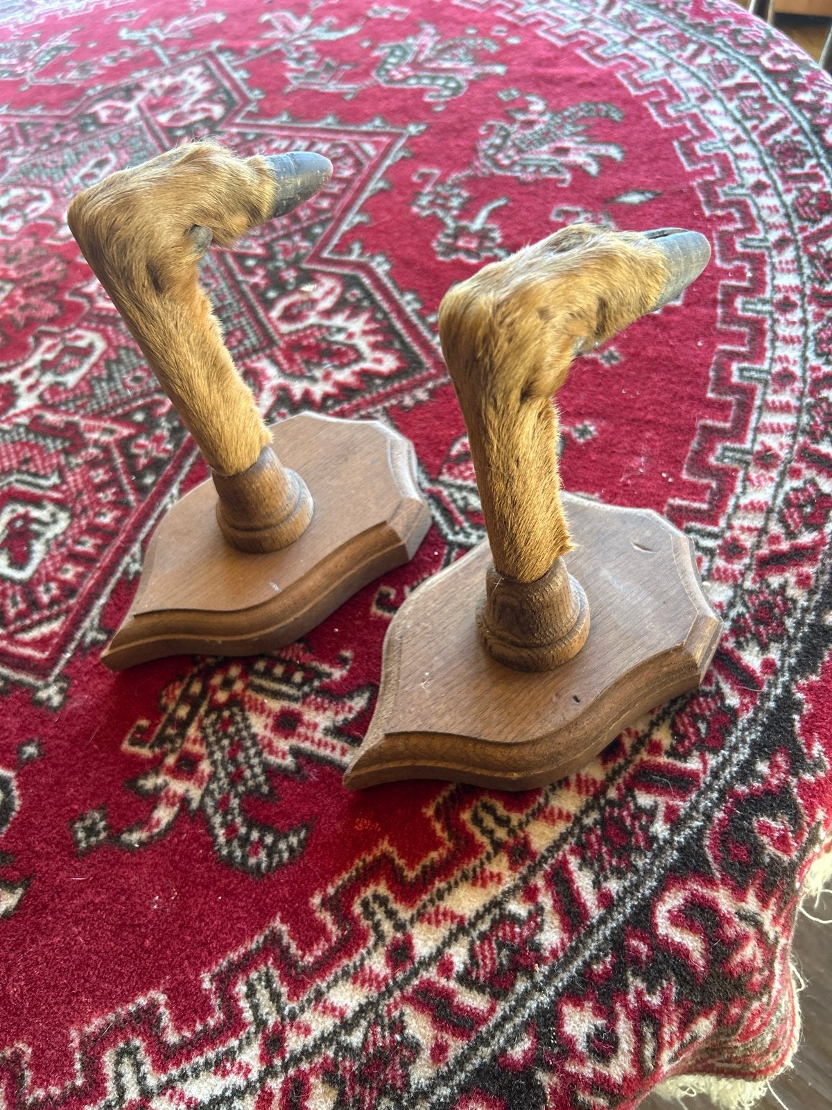 Vintage Hertenpoten op Houten Schildjes - Jachtdecoratie, Ophalen of Verzenden