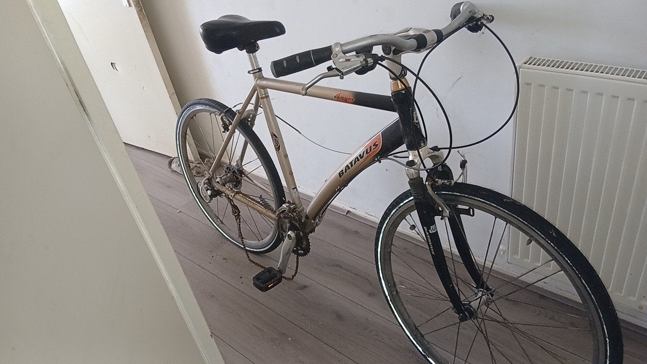Batavus herenfiets - Opknapper, Ophalen