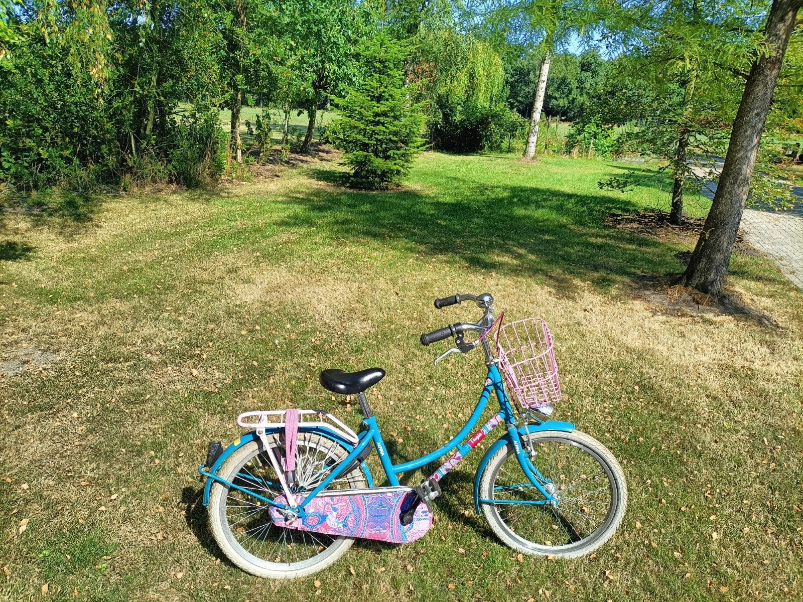 Alpina Tingle kinderfiets 20 inch met mandje, Ophalen, Terugtraprem, Gebruikt, Alpina