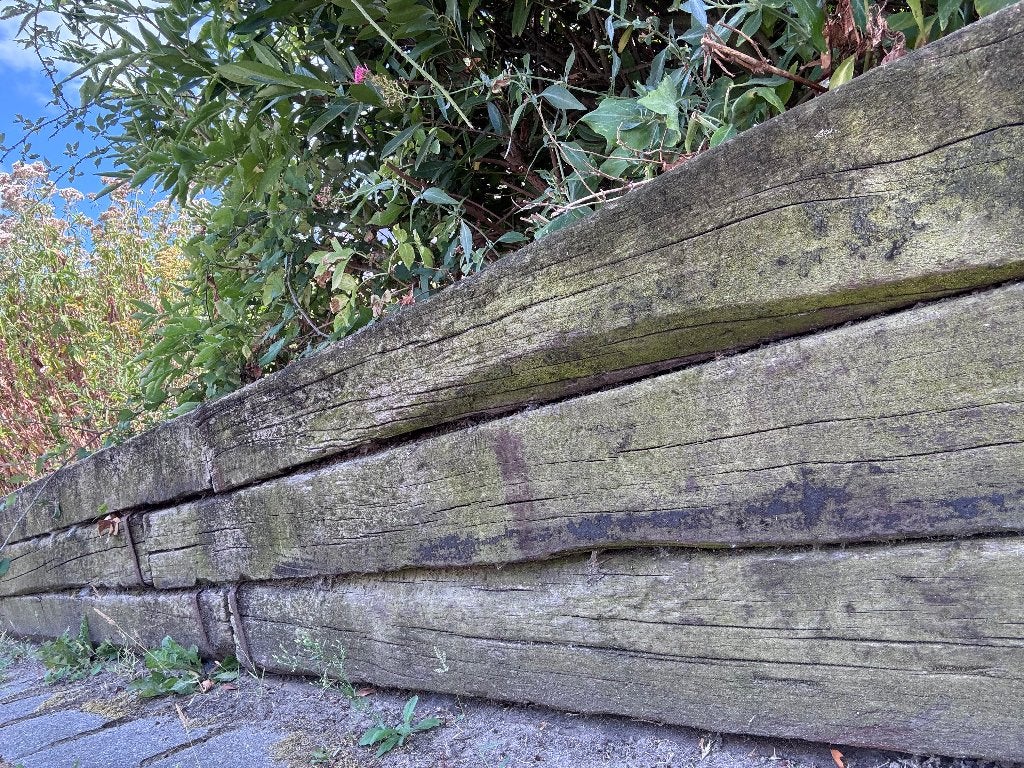 Gratis hardhouten bielzen, Tuin en Terras, Bielzen en Borders, Ophalen, Gebruikt, Biels, 200 cm of meer