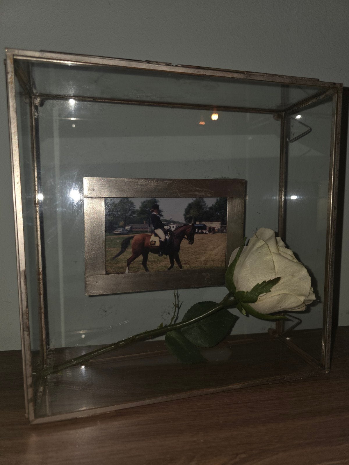 Riviera Maison glazen lijst/vitrine, Huis en Inrichting, Woonaccessoires | Lijsten, Hangend, Ophalen of Verzenden, Fotolijst, Goud