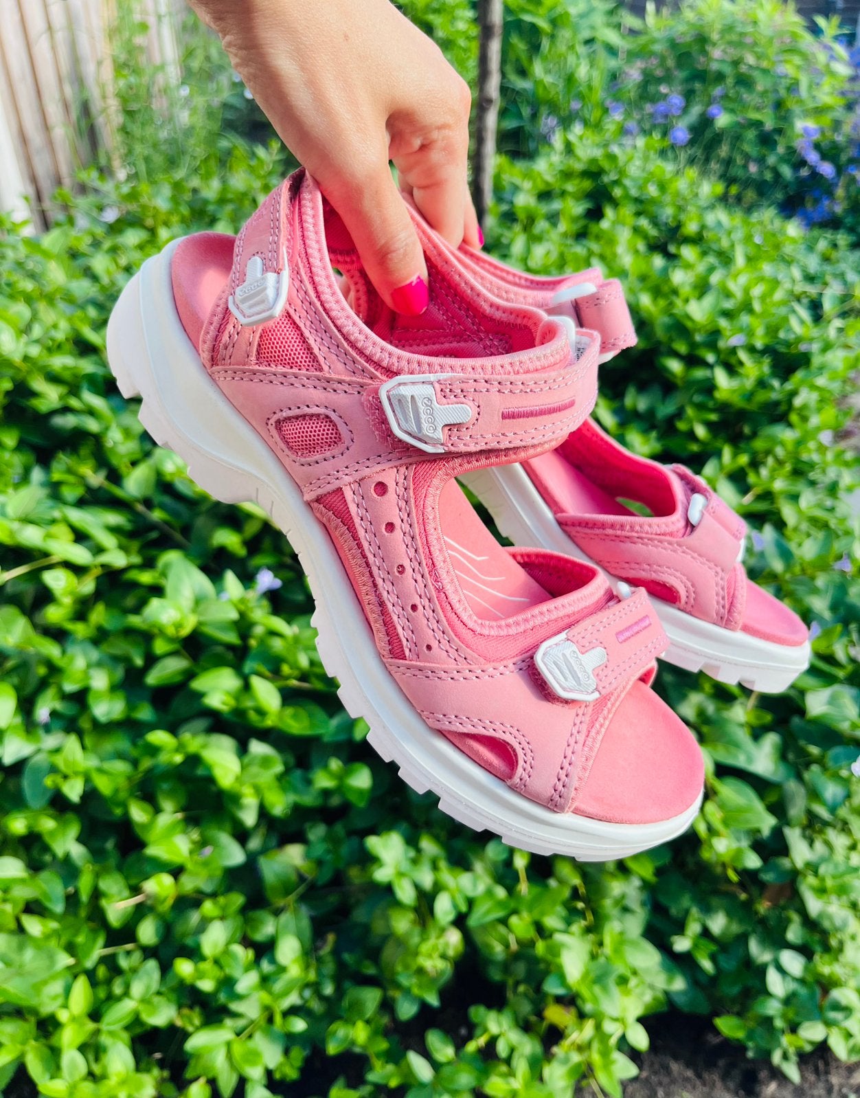 Sandalen ecco outdoorsandalen platform Ecco, Kleding | Dames, Schoenen, Ophalen of Verzenden, Zo goed als nieuw, Roze, Sandalen of Muiltjes