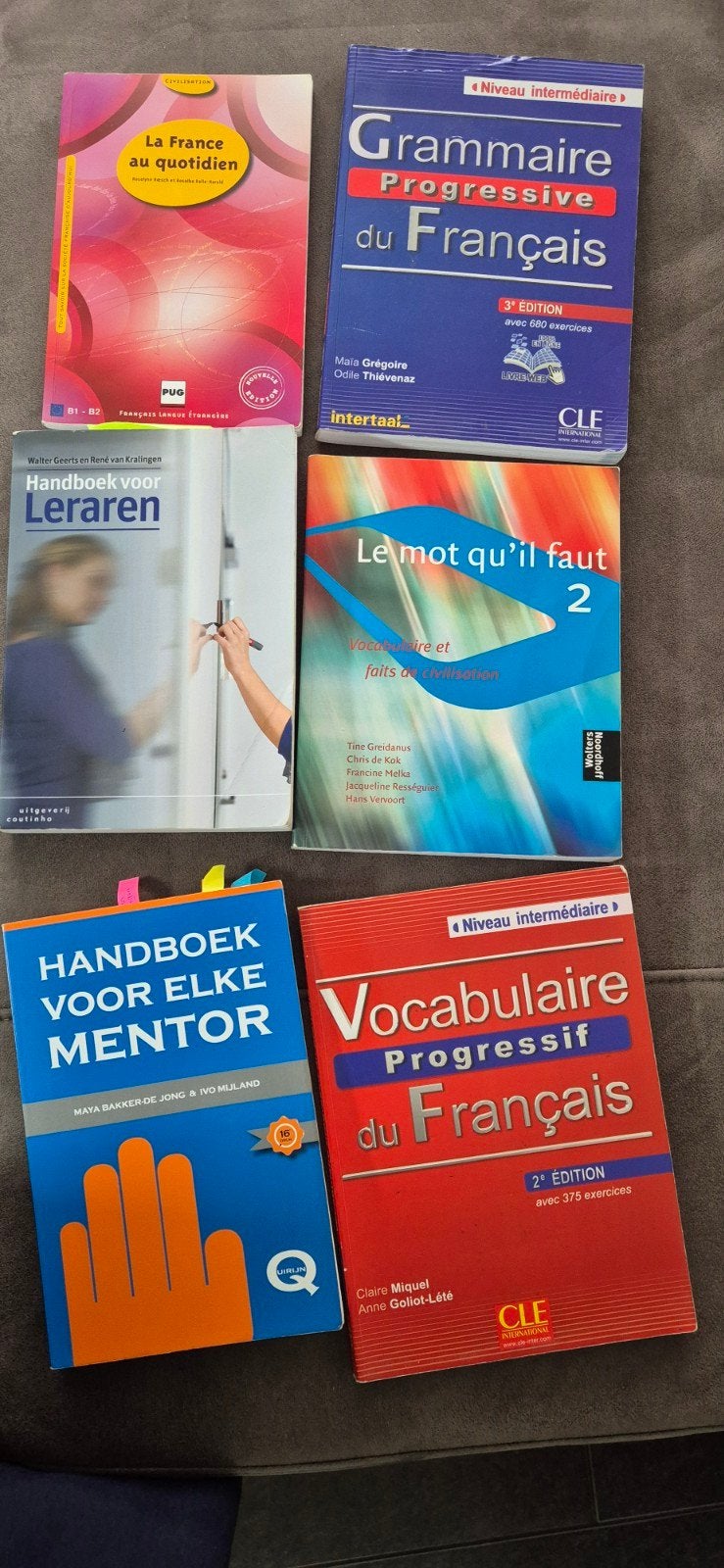 Boeken voor lerarenopleiding (Frans en andere), Ophalen of Verzenden, Gamma, Gelezen, HBO
