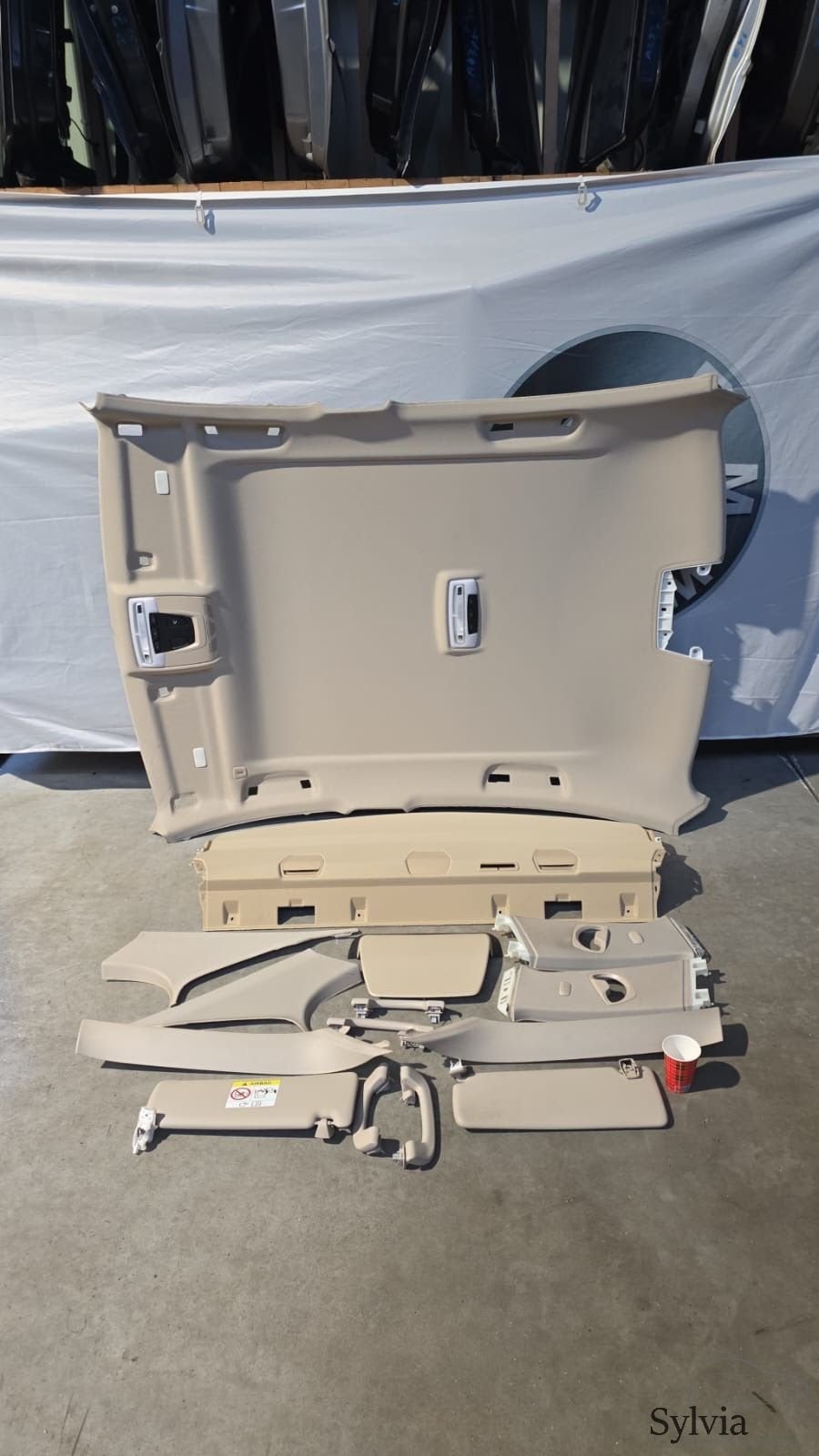 Dakhemel hemelbekleding en hoedenplank beige BMW 3 serie F30, Gebruikt, -, -, Ophalen of Verzenden