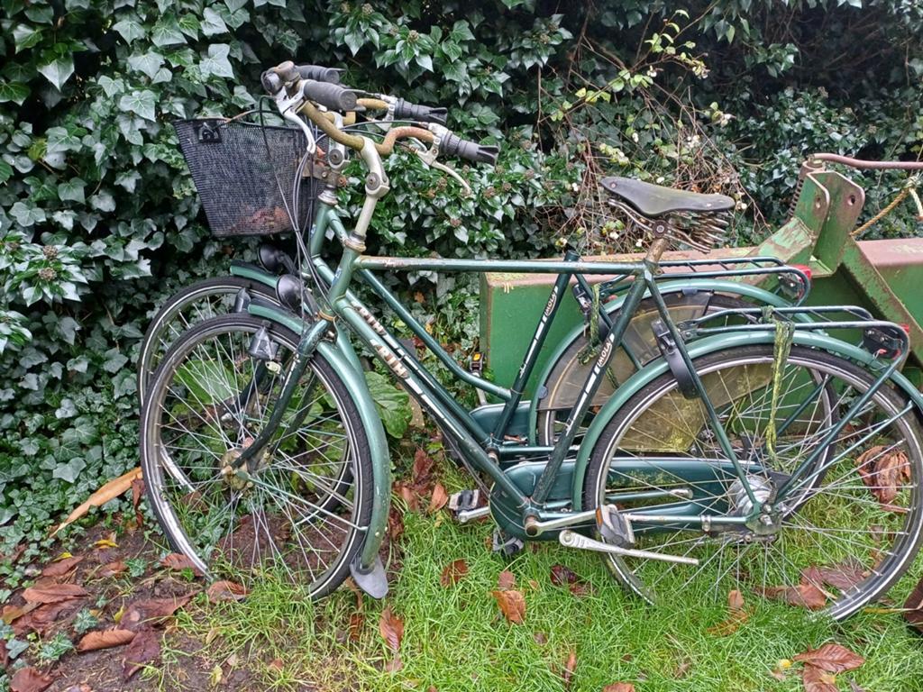 RIH Dames- en herenfiets - Klassieker!, Versnellingen, Ophalen, Overige merken, 53 tot 56 cm