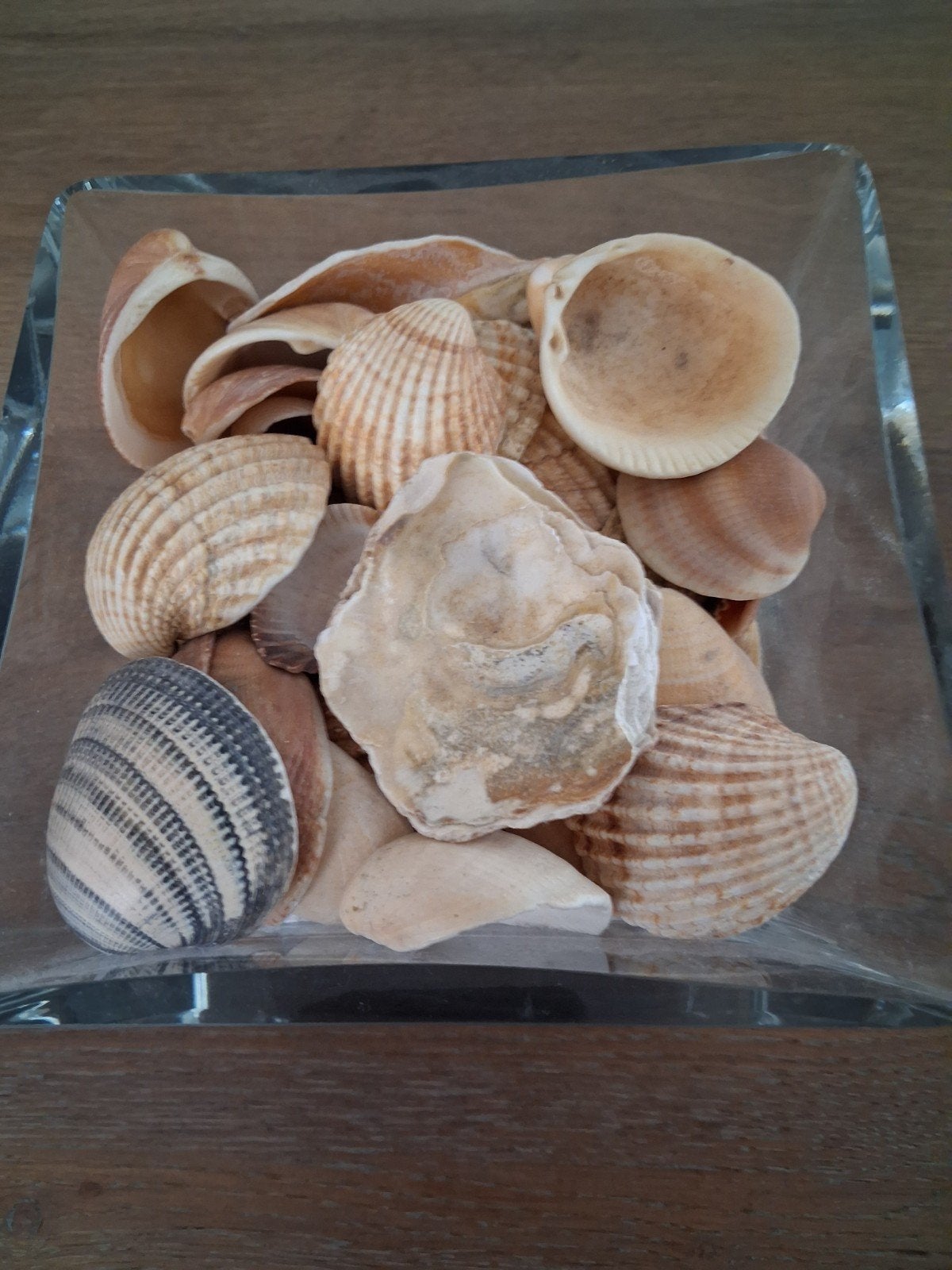 Zware handgemaakte schaal La Vida met of zonder schelpen, Schaal, Vierkant, Ophalen of Verzenden, Handgemaakt