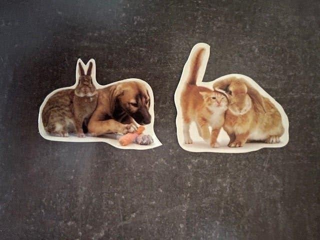 Magneet magneten x2, hond, konijn, poes kat, Nieuw, Ophalen of Verzenden, Nieuw, Dier