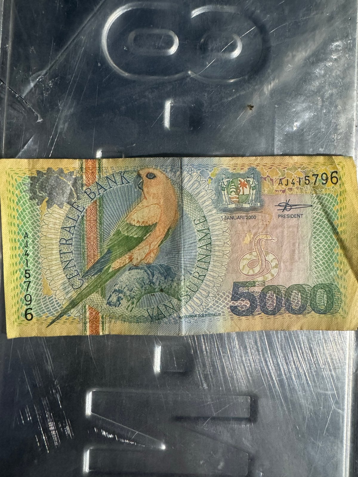 Surinaams 5000 Gulden biljet uit 2000 - Papegaai, Ophalen of Verzenden, Zuid-Amerika, Los biljet