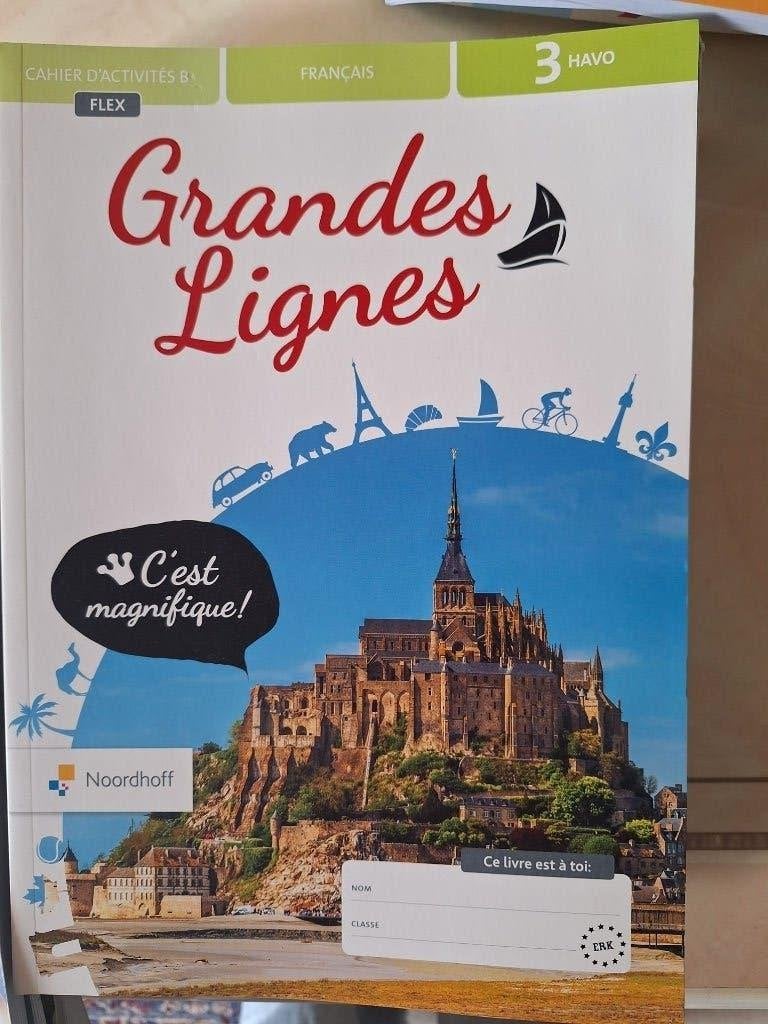 Boek Grandes Lignes cahier d'activites B 3-havo, Boeken, Ophalen of Verzenden, Zo goed als nieuw, HAVO
