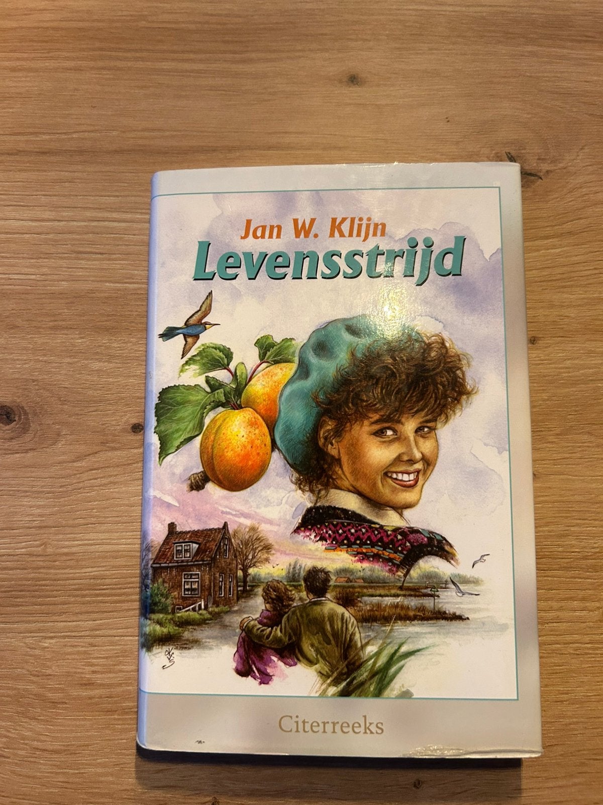 Levensstrijd - Jan W. Klijn (Citreeks), Boeken, Ophalen of Verzenden, Gelezen, Nederland