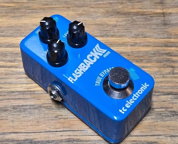 Aangeboden: Delay pedaal - TC Electronic Flashback Mini, Muziek en Instrumenten, Effecten, Ophalen of Verzenden, Zo goed als nieuw
