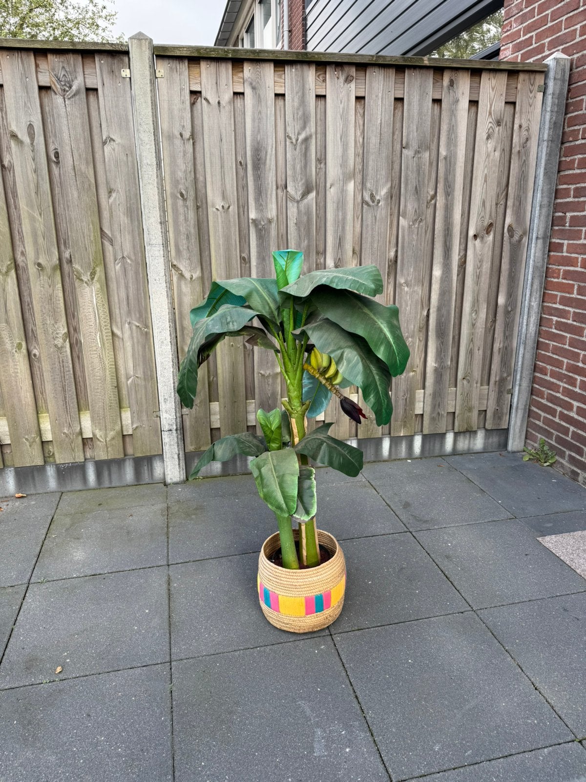 Bananenplant kunst, Ophalen, Inclusief accessoires, Kunststof, Intratuin