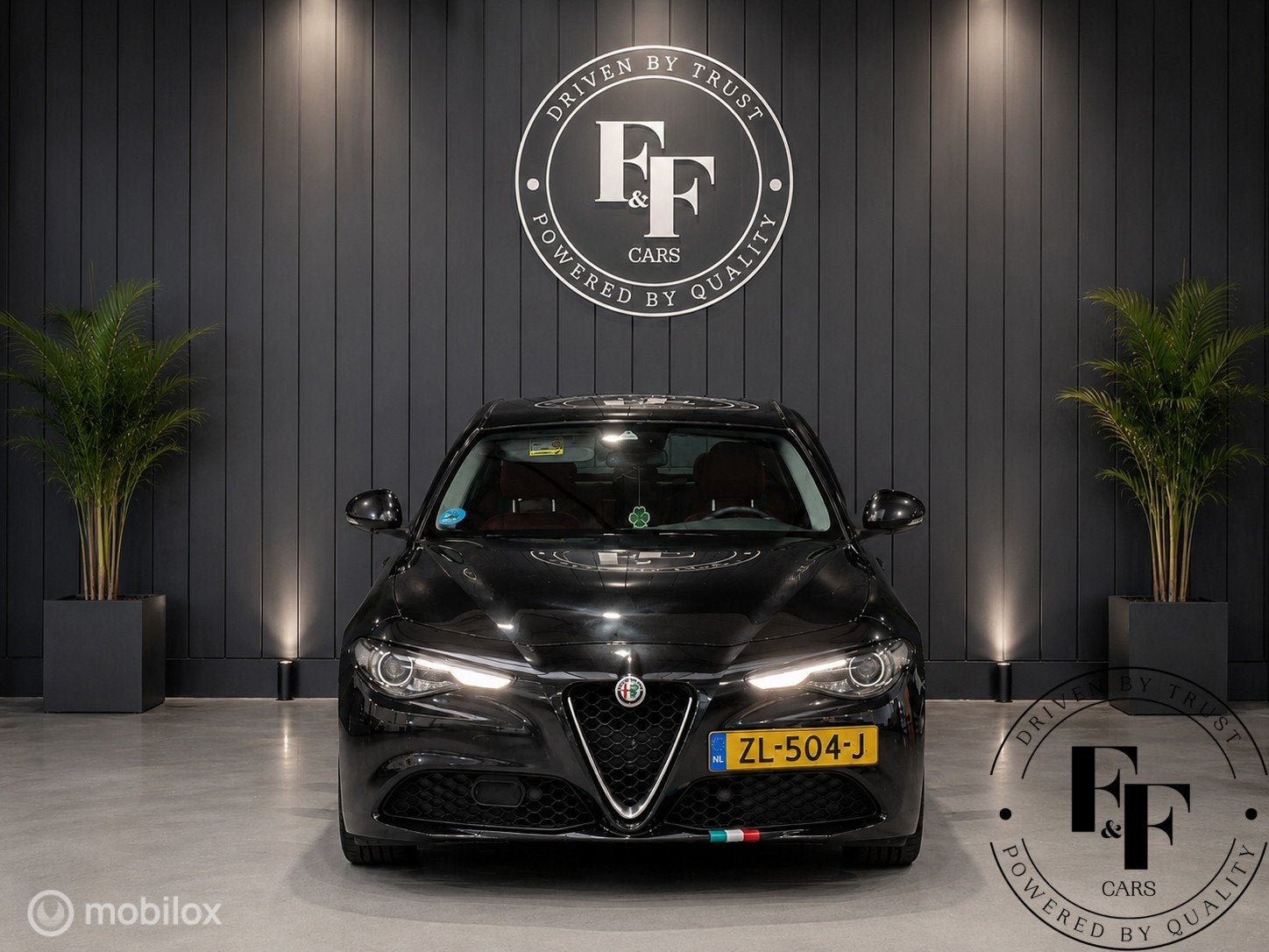 Alfa Romeo Giulia 2.2 Super|Automaat|Leder|Harman Kardon|Cam, Automaat, 745 kg, Euro 6, 4 cilinders