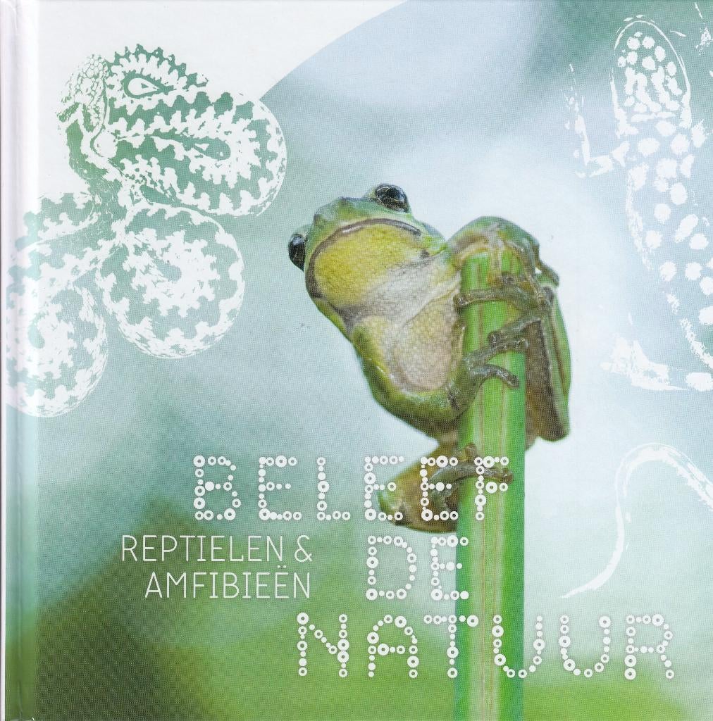 Nederland- 2018- Reptielen en Amfibieën- Boek + 2 Blokken, Verzenden, Na 1940, Postfris