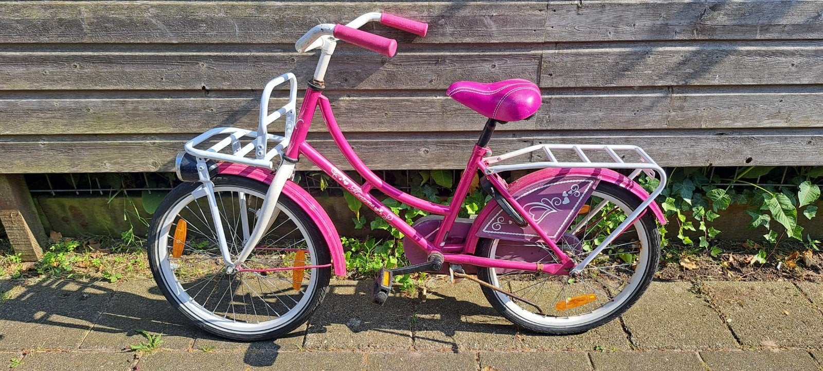 Roze kinderfiets 20 inch met voordrager, Fietsen en Brommers, Ophalen, Gebruikt, 20 inch of meer