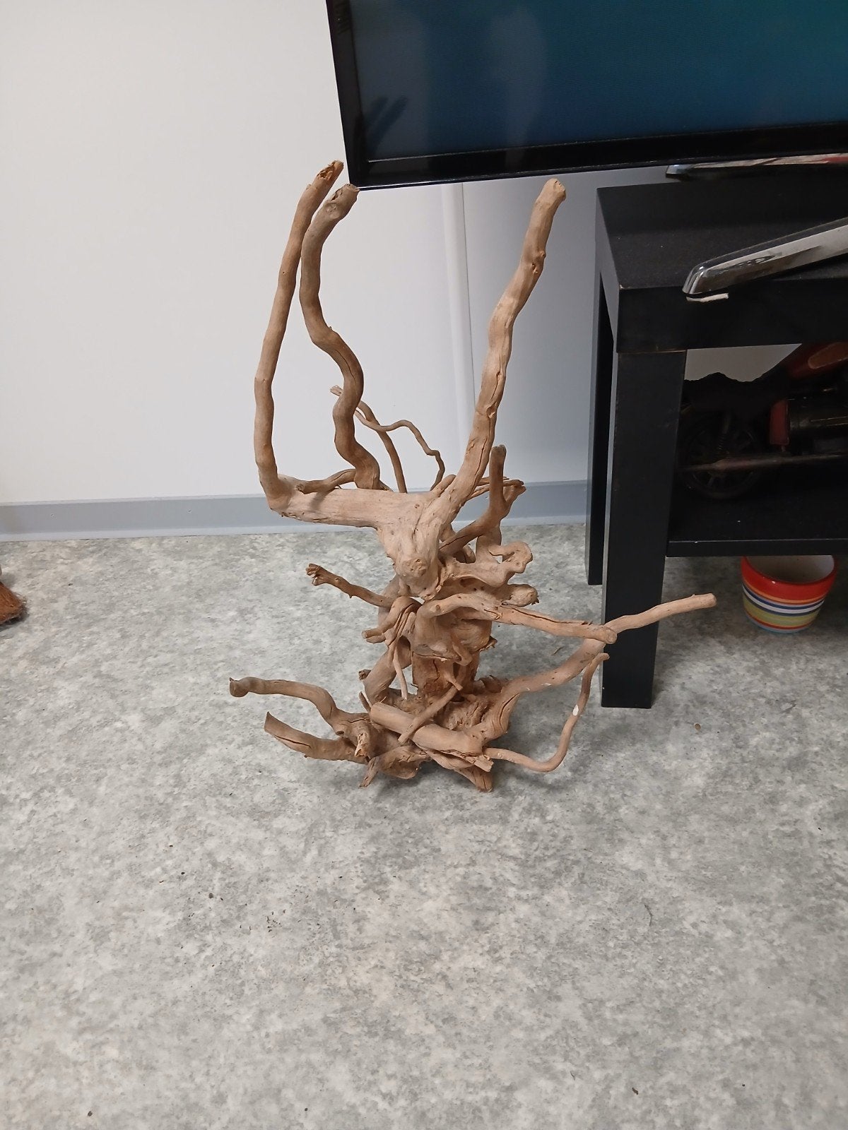 Drift wood uit azie gepolijst, Dieren en Toebehoren, Ophalen, Nieuw