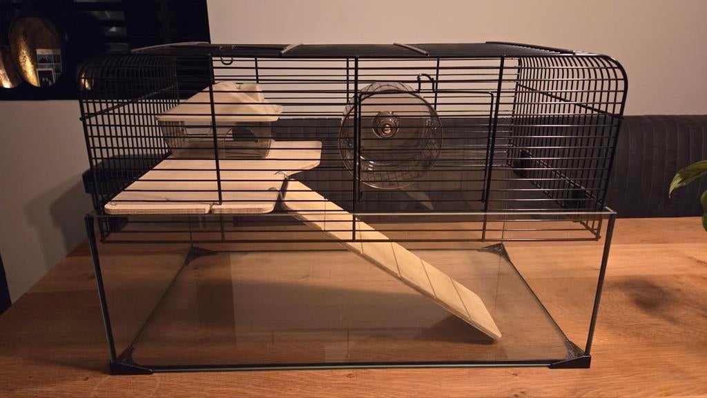 Nieuwe hamsterkooi, Dieren en Toebehoren, Minder dan 60 cm, Kooi, Ophalen of Verzenden, Hamster