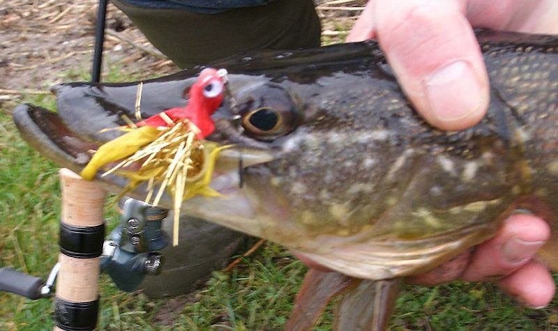 Ultra Light Baars/Snoek streamertjes voor spin & vlieghengel, Ophalen, Nieuw, Complete set