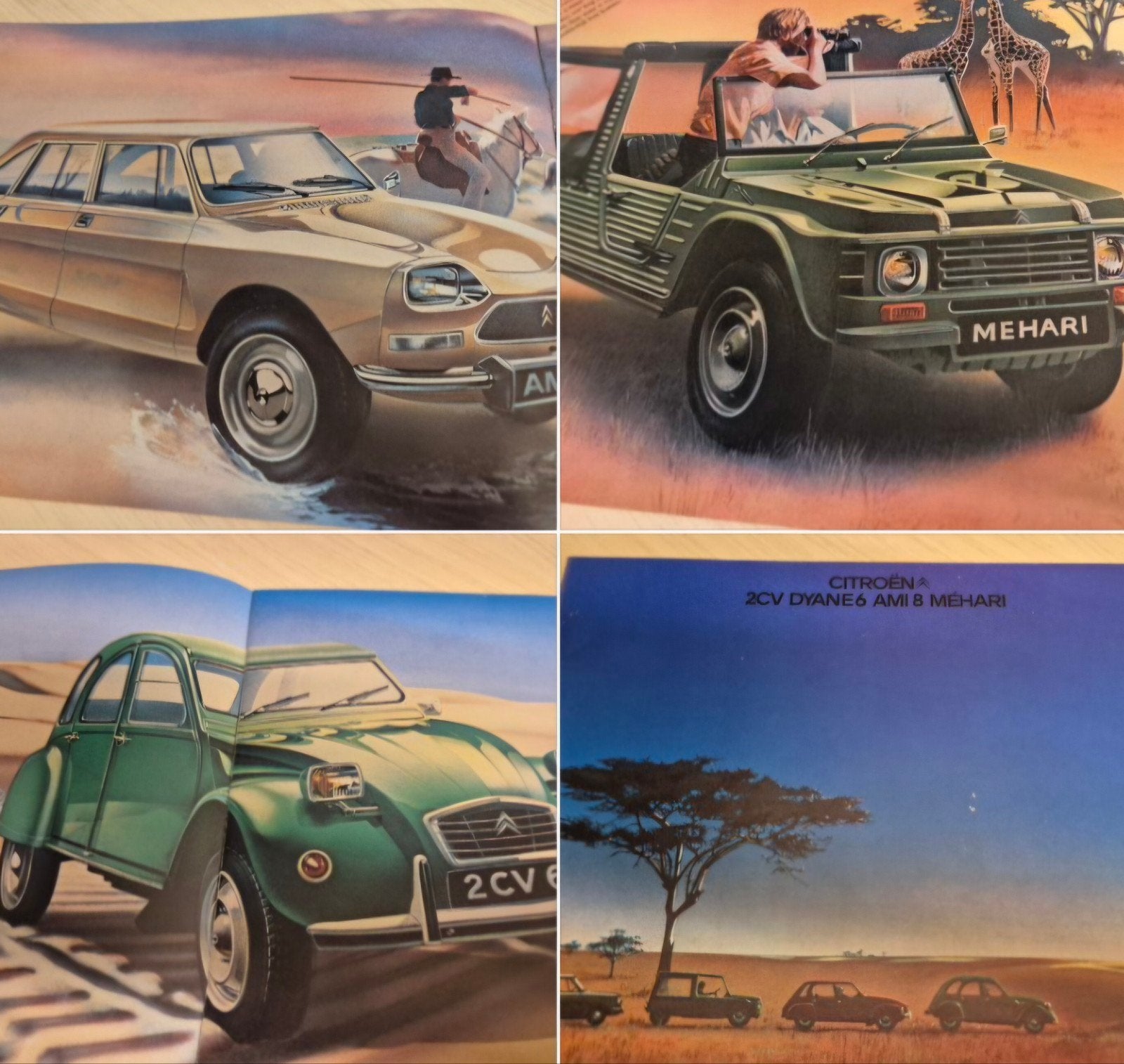 1977 Nederlands Citroën 2cv eend Dyane Mehari Ami folder, Ophalen of Verzenden, Citroën