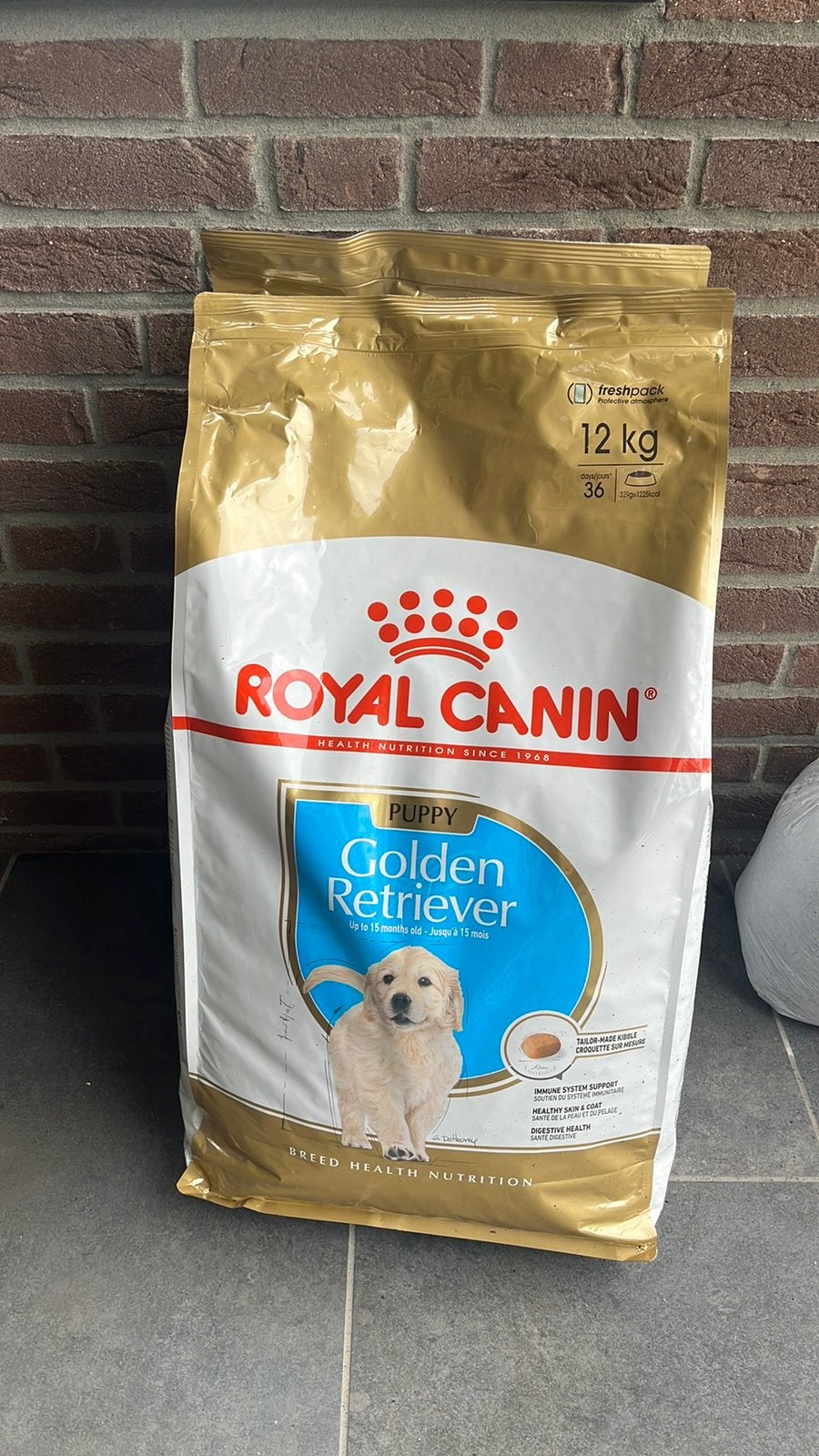 Royal Canin Golden retriever puppy brokken., Dieren en Toebehoren, Ophalen of Verzenden, Hond
