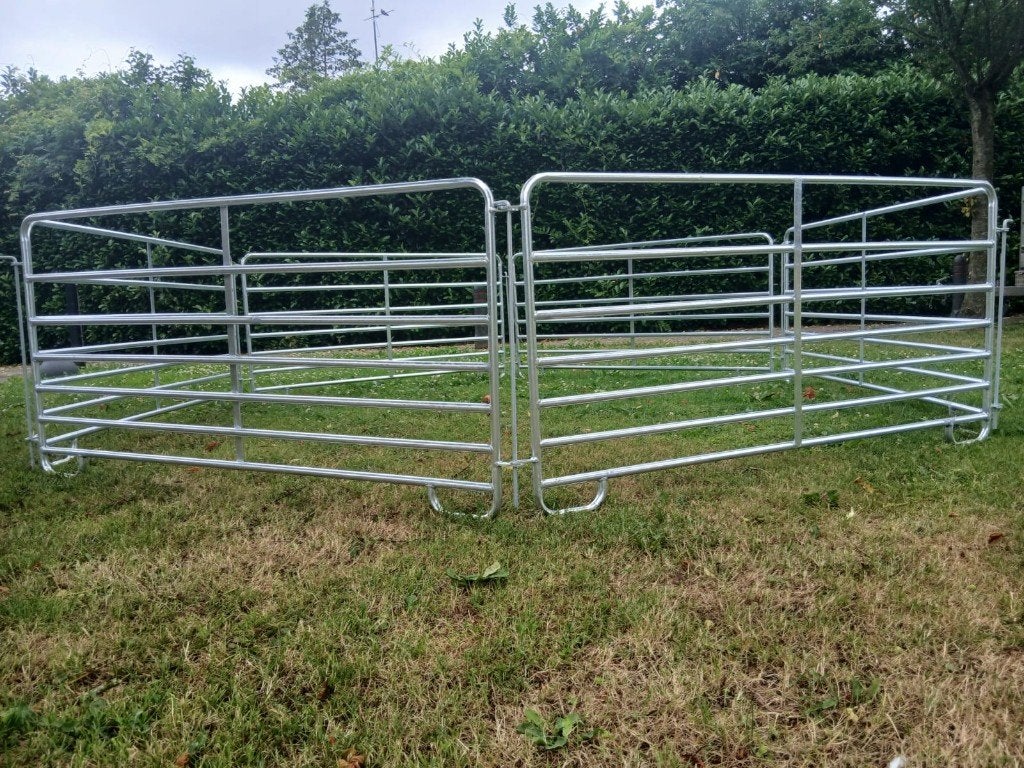 Te koop: nieuwe vanghekken, Meerdere dieren, Schaap