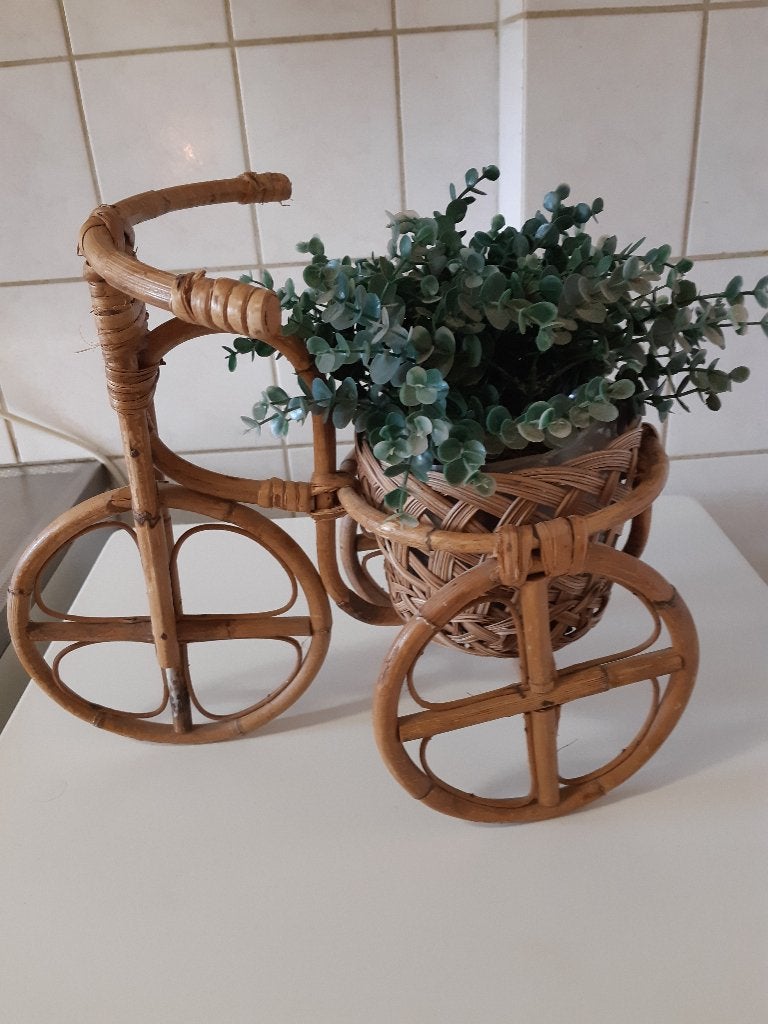 Vintage Rotan Plantenfiets / Driewieler met Kunstplant, Overige soorten, In pot, Minder dan 100 cm, Halfschaduw
