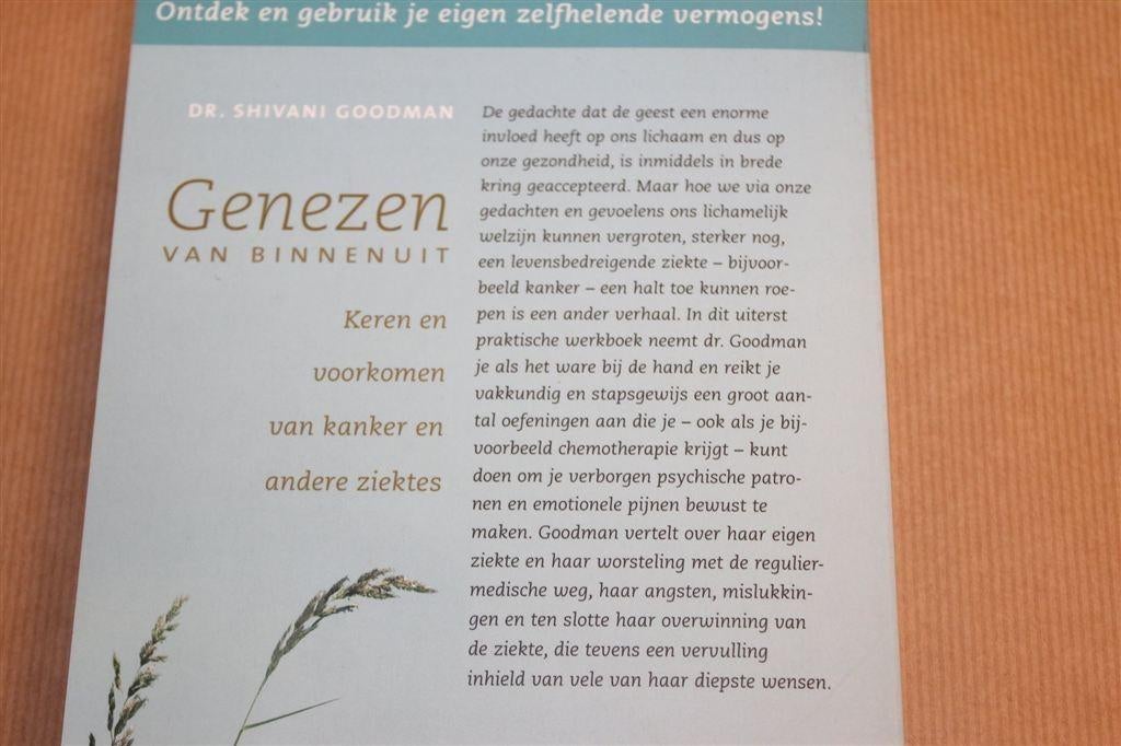 Genezen van Binnenuit — Kankerpreventie & Zelfheling, Boeken, Ophalen of Verzenden, Gelezen