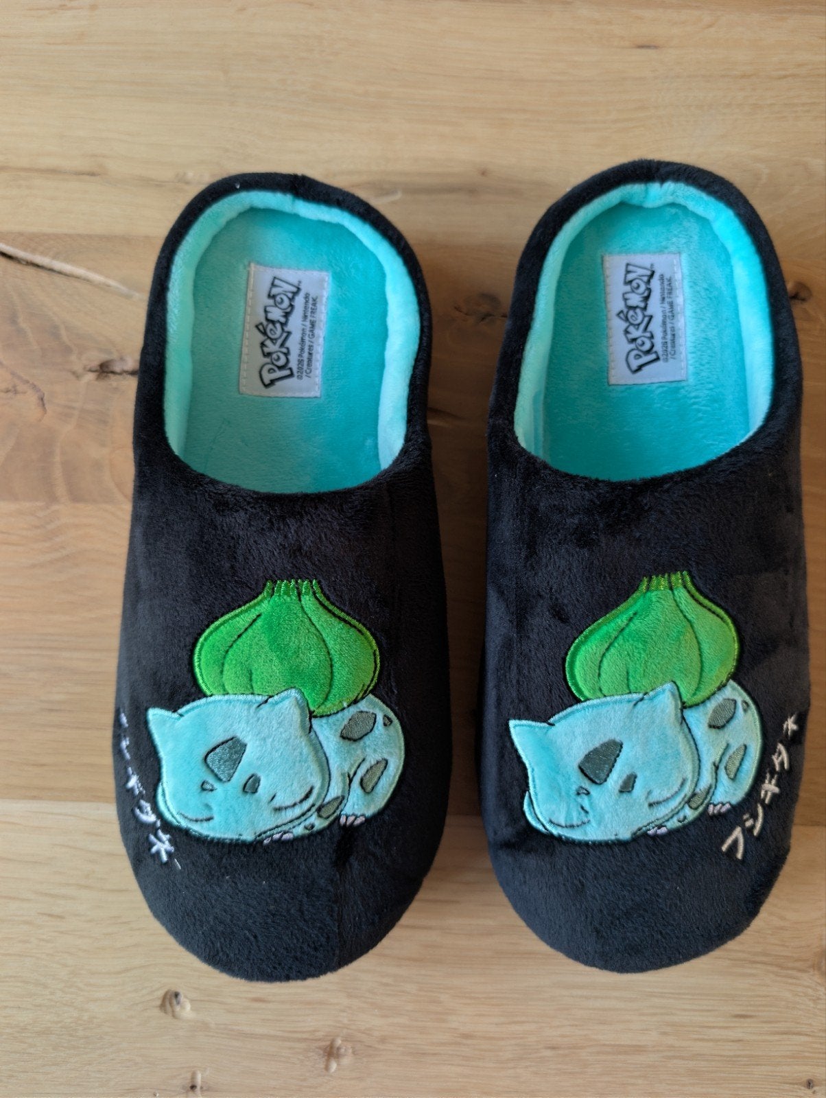 Nieuwe Bulbasaur Pokémon Pantoffels Maat 43, Ophalen of Verzenden, Nieuw, Zwart, Pantoffels of Sloffen
