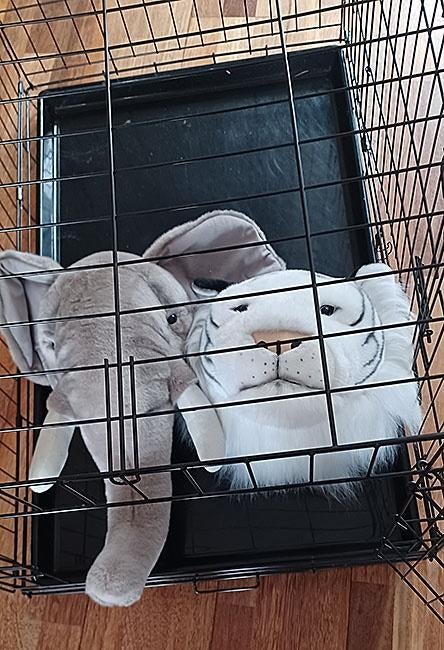 Olifant en witte tijger kop, Ophalen, Zo goed als nieuw, Wanddecoratie