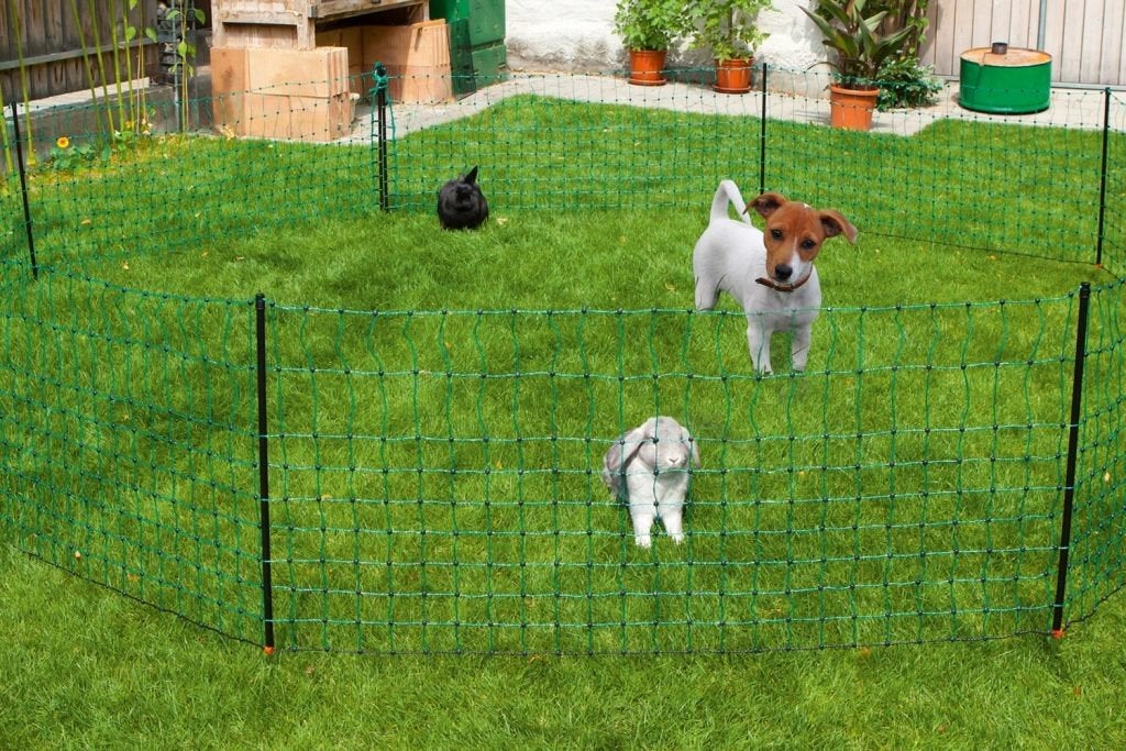 Schapennet 19 meter, Dieren en Toebehoren, Ophalen