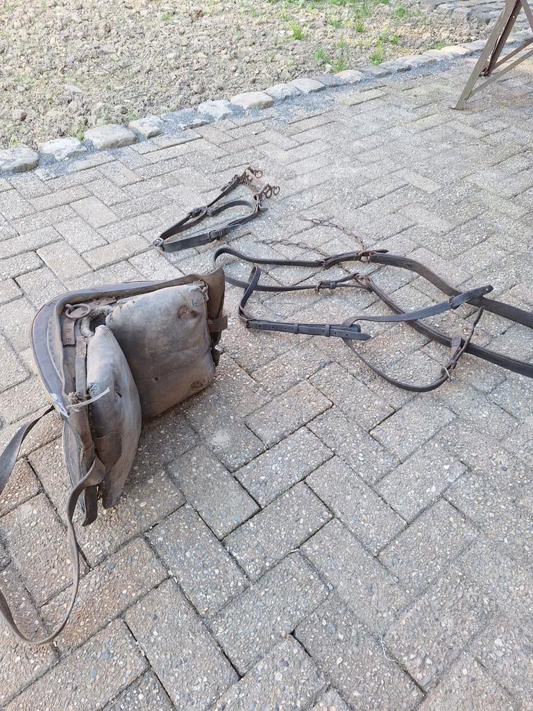 Paarden Tuig, Ophalen of Verzenden