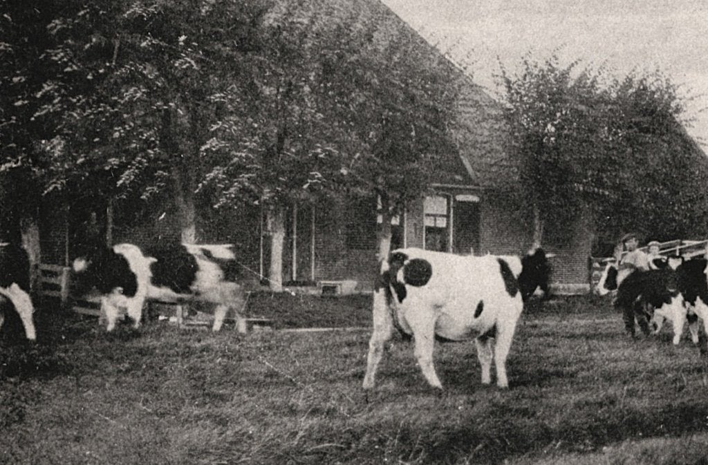 700866 Warder NH Westeinde Postzegel Afgeweekt, Ophalen of Verzenden, Voor 1920, Gelopen, Noord-Holland