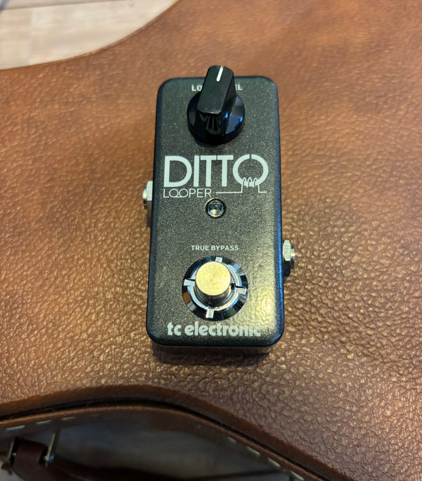 Ditto Looper (Nieuw), Muziek en Instrumenten, Effecten, Verzenden, Nieuw, Delay of Echo