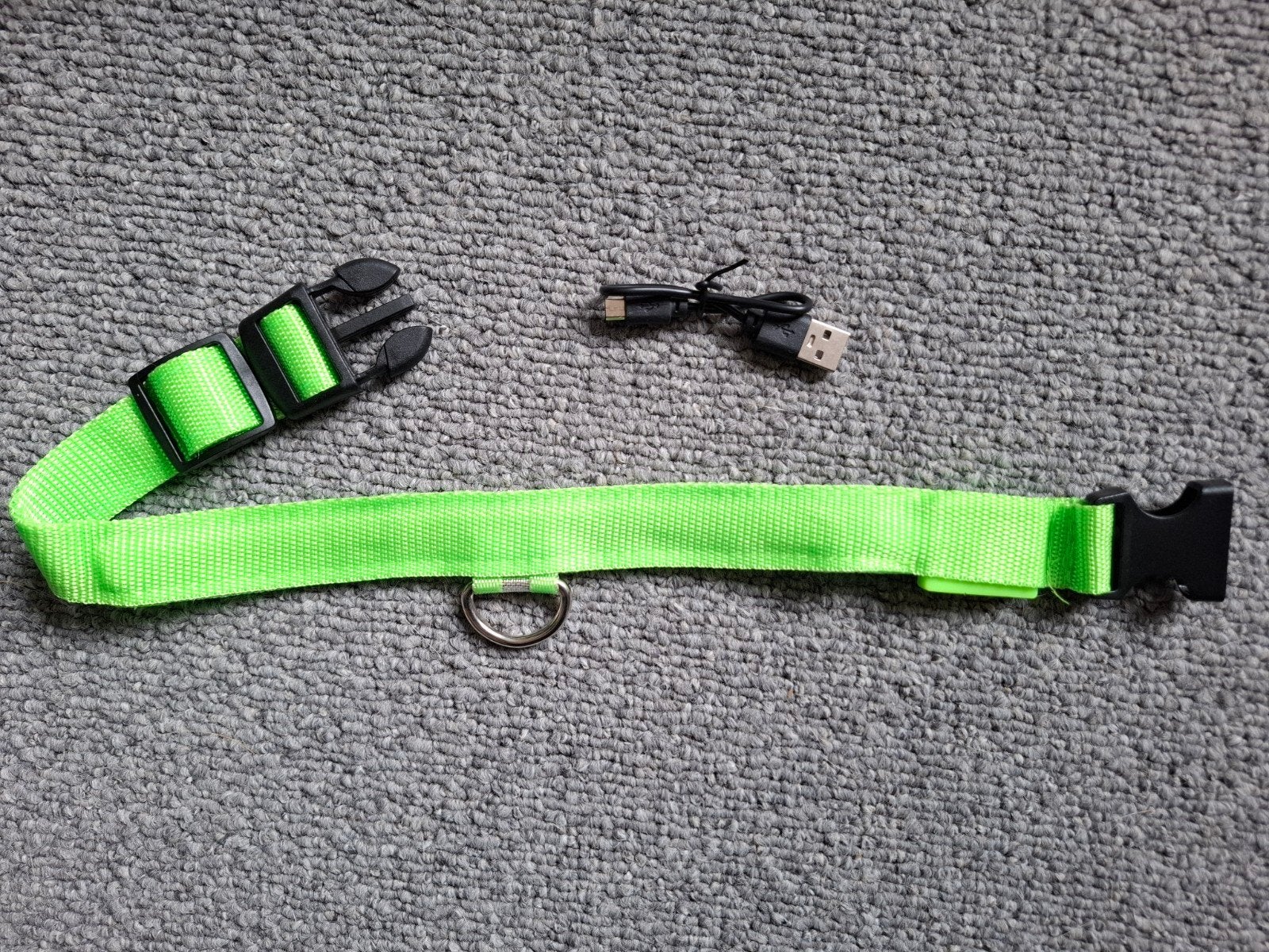 LED HALSBAND met USB - NIEUW! - Maat M, Dieren en Toebehoren, Ophalen of Verzenden, Verlicht, Nieuw