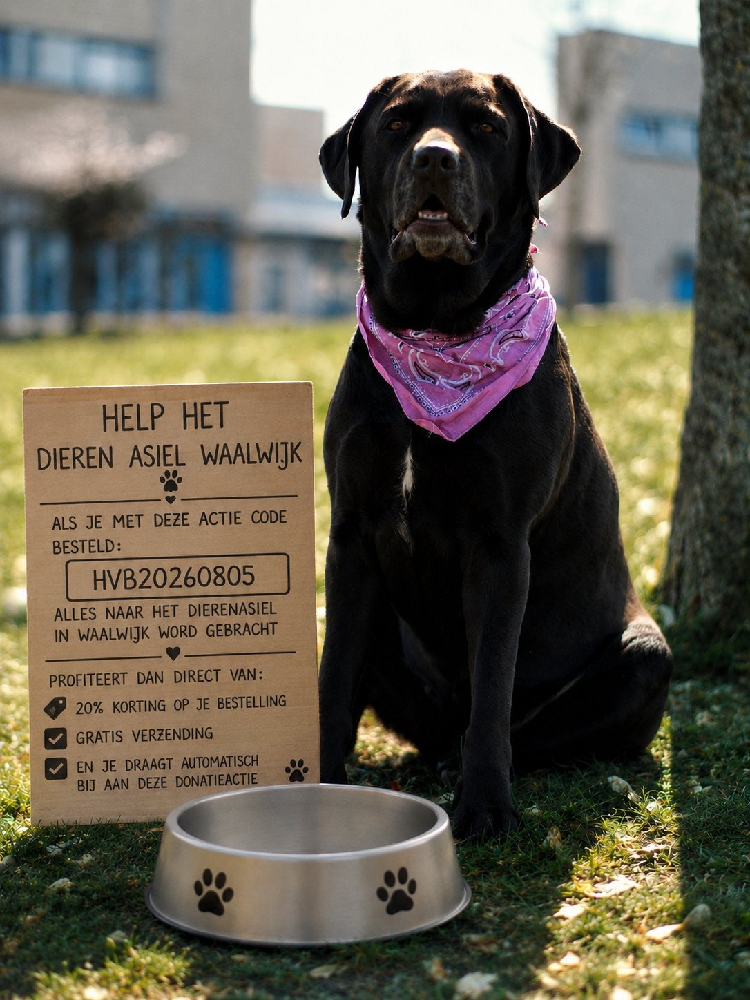 Help dieren asiel waalwijk, Ophalen, Zo goed als nieuw