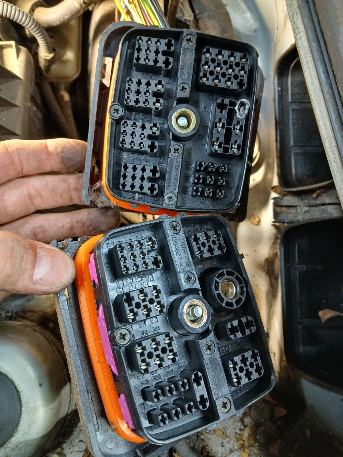 gezocht: motor kabelboom 1.8t 20v BJX, Ophalen of Verzenden, Seat