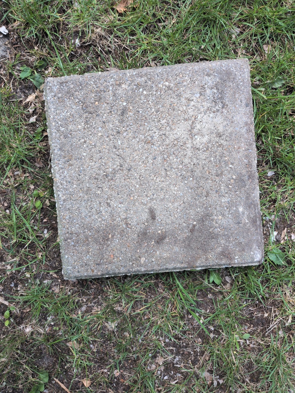 8x Tuintegels 30x30x5cm, Ophalen, Gebruikt, Minder dan 5 m², Beton