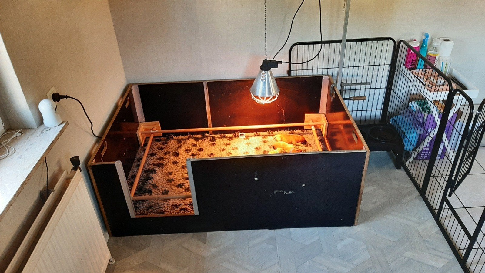 mooie grote werpkist (100x150x55) met toebehoren, Ophalen, Werpkist