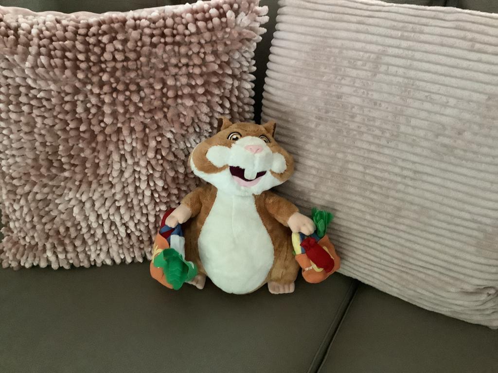 Hamster AH, Ophalen of Verzenden, Gebruikt, Overige typen