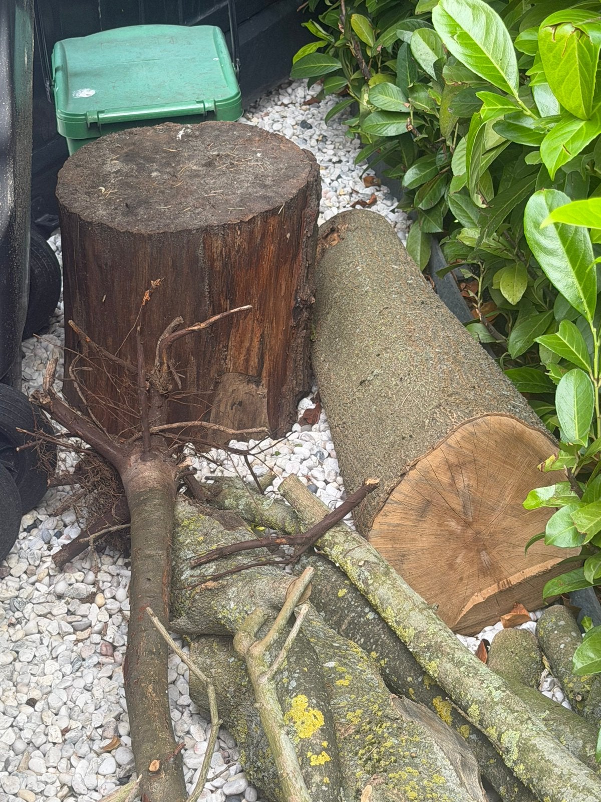 magnolia hout, Tuin en Terras, Haardhout, Minder dan 3 m³, Ophalen of Verzenden