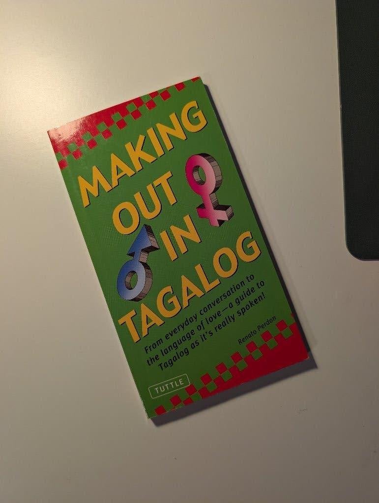 Making Out In Tagalog, Non-fictie, Ophalen of Verzenden, Zo goed als nieuw, Tagalog - Filipijns