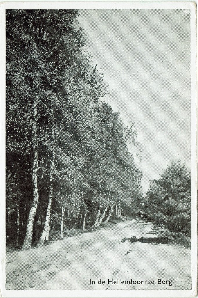 Hellendoorn – Weggetje Hellendoornse Berg., Ophalen of Verzenden, 1960 tot 1980, Gelopen, Overijssel