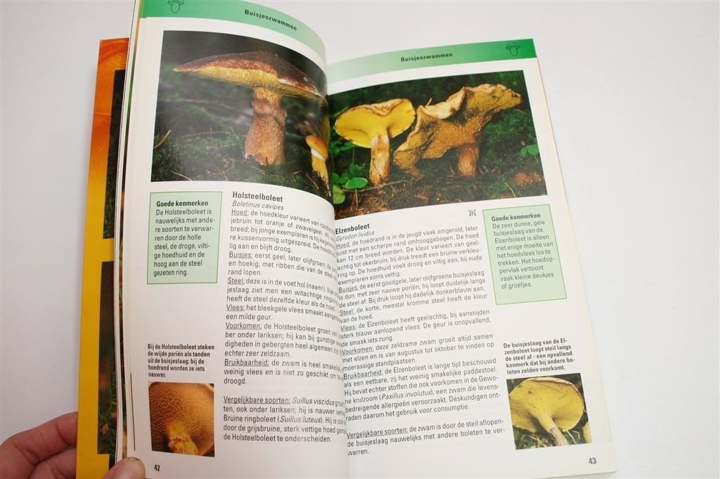 ANWB Natuurgids Paddestoelen — Herkennen in het Veld, Boeken, Ophalen of Verzenden, Gelezen, Vogels