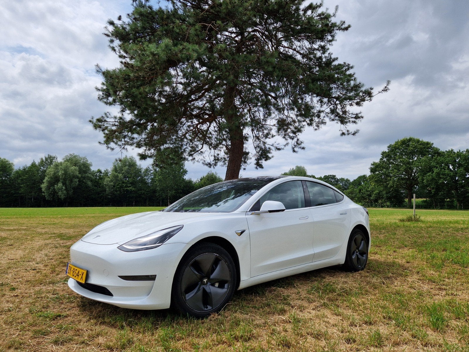 Tesla Model 3 2019 Wit, Automaat, Wit, Origineel Nederlands, Elektrisch