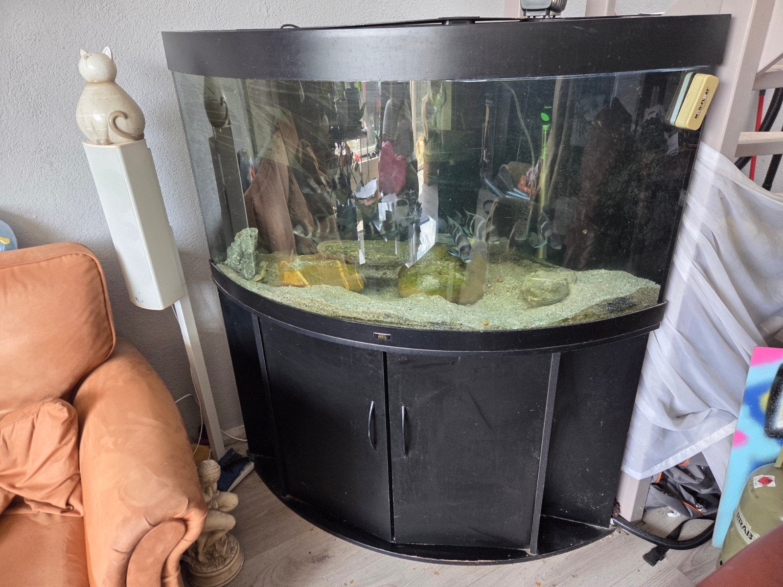 jewel trigon te koop, Dieren en Toebehoren, Vissen | Aquaria en Toebehoren, Ophalen, Inclusief deksel, Gebruikt, Leeg aquarium